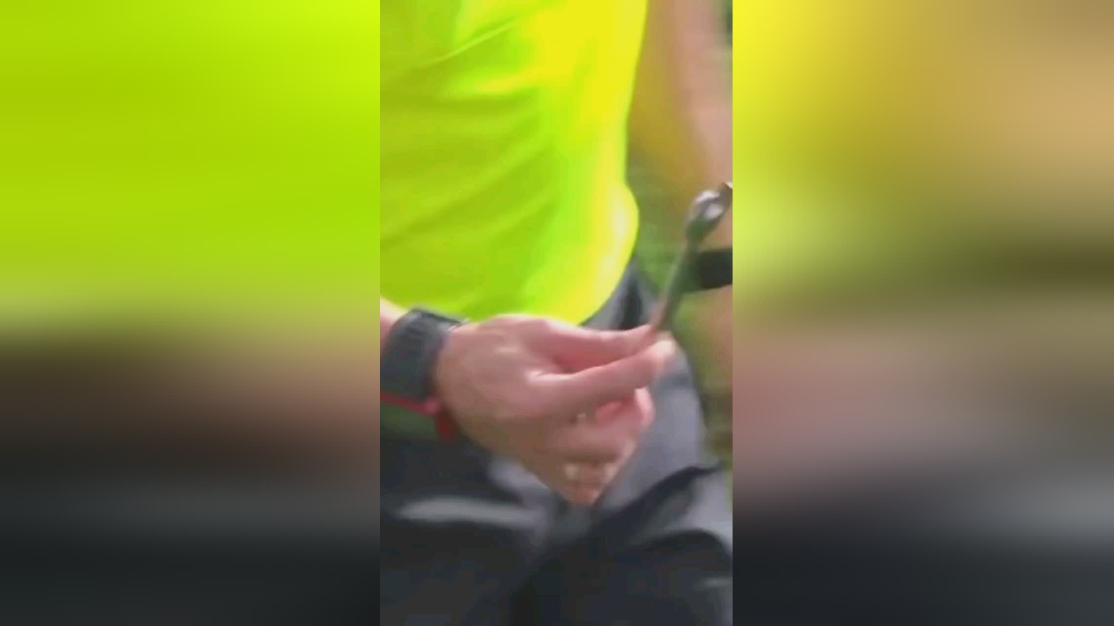 应对